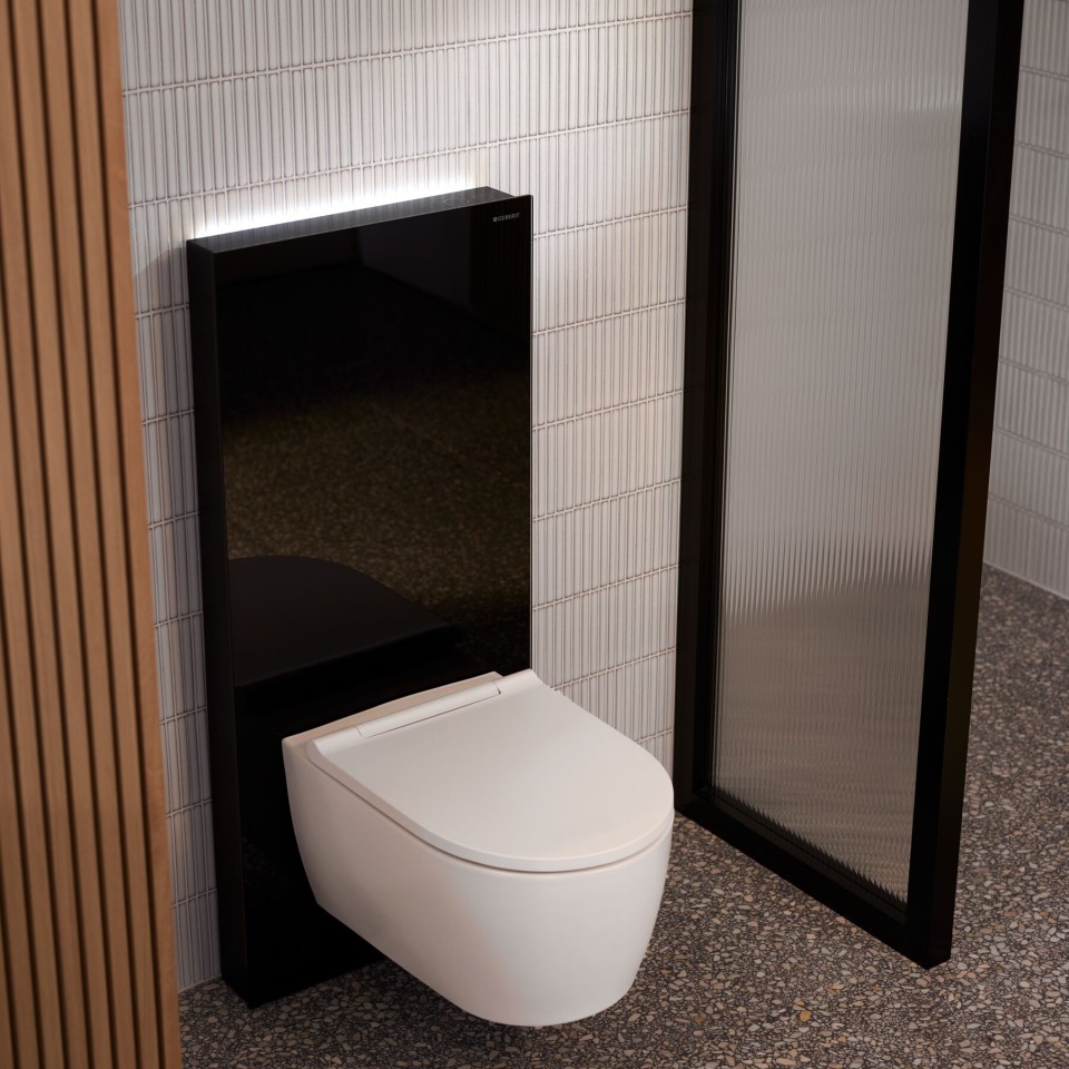 Geberit Monolith Plus cisternemodul